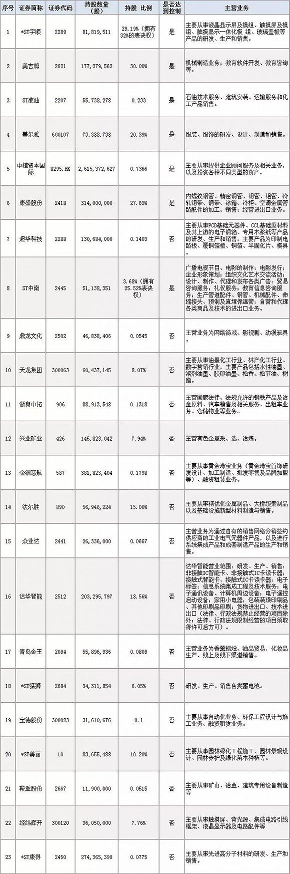 中植集团上市公司，小巷中的隐藏瑰宝，展现非凡实力与潜力