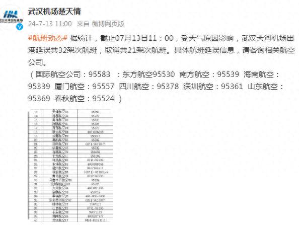 武汉最新补给信息深度解析，观点阐述与分析