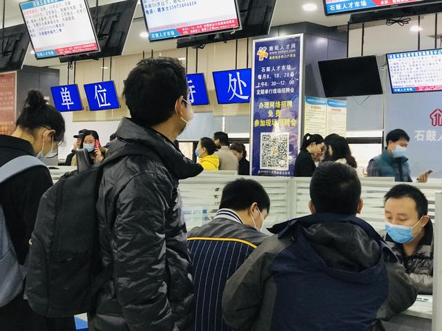 园区人才市场最新招聘信息速递✨