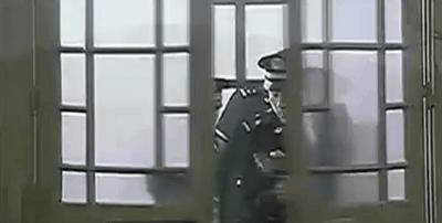 追捕，爱与陪伴的温馨旅程电视剧剧情解析