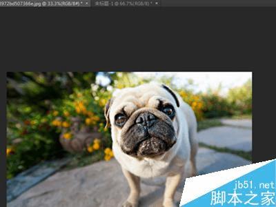 巴哥资讯，时尚潮流与生活新知的聚焦点