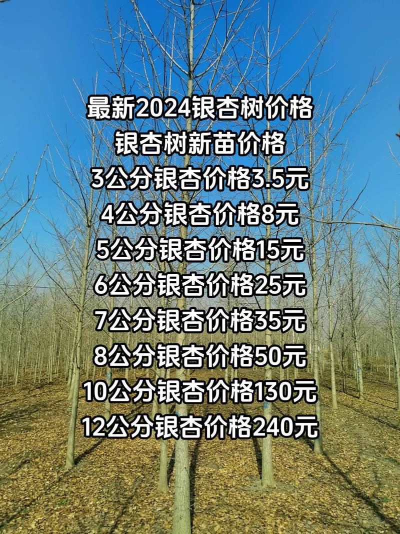 食品经营