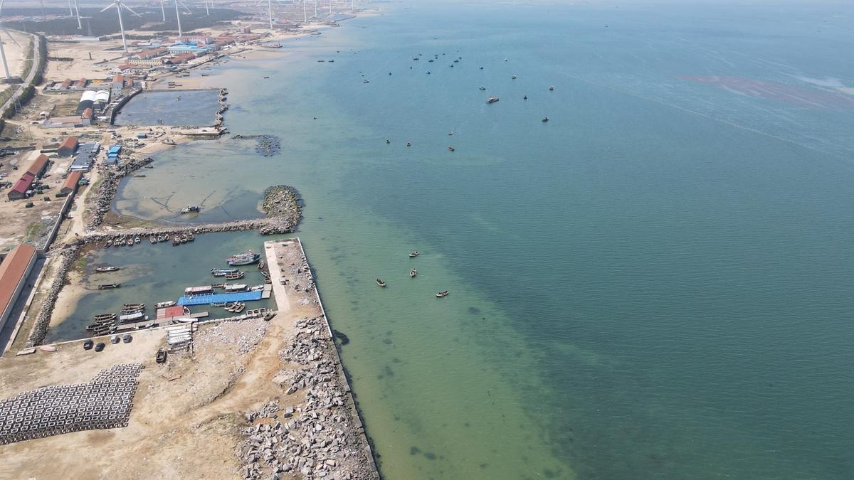 山东近海最新天气预报，乘风破浪，梦想起航的天空