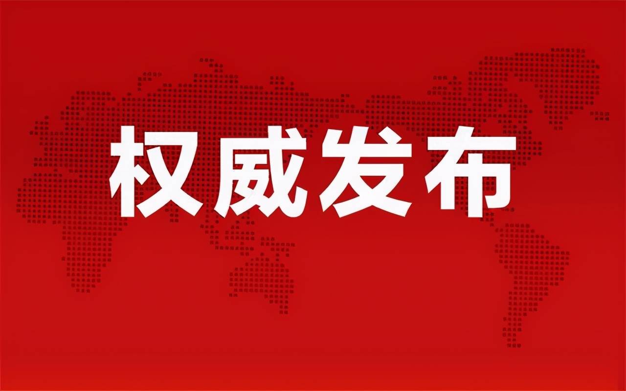 孙储琳最新动态，全面解读与深入分析报道速递