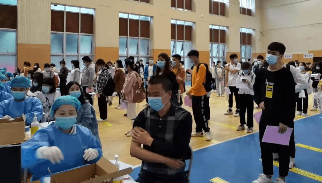 龙珠凤羽最新动态，学习变化，自信翱翔，成就梦想之旅