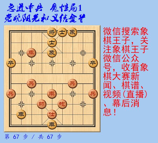 最新屏风马对急进中兵，心灵之旅探寻自然美景的奥秘